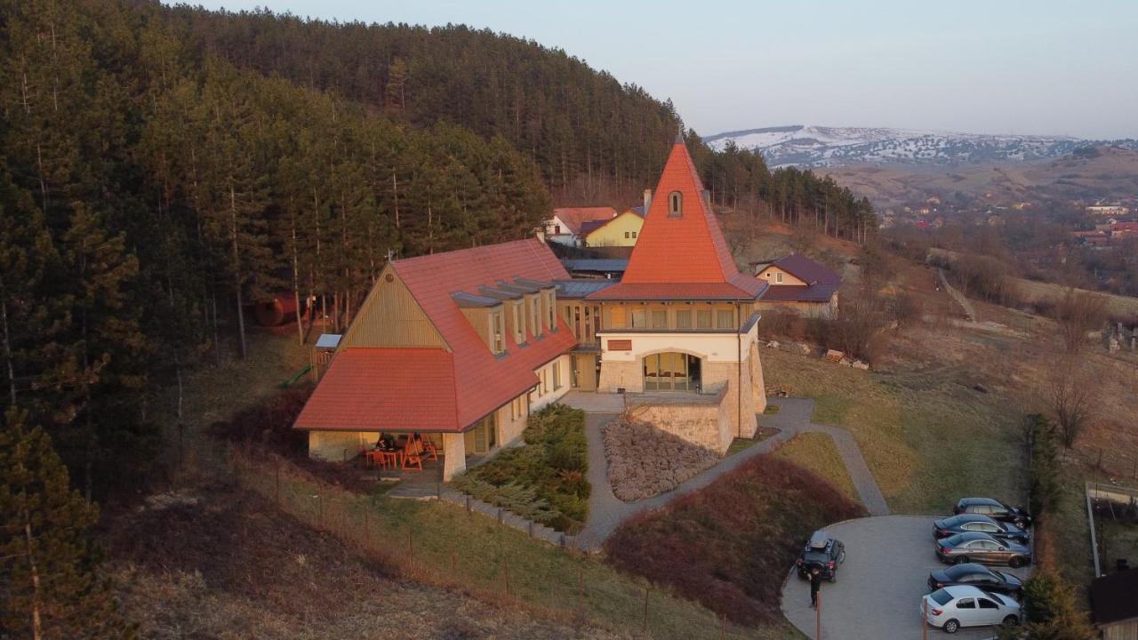 Harmonia Mundi Hotel Magyarfenes Kültér fotó